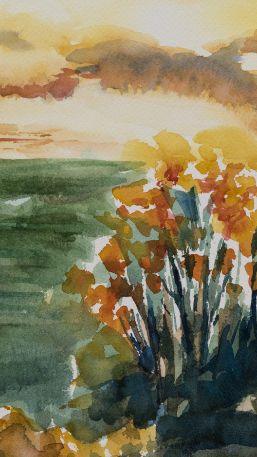 bilans psychologiques à Spy